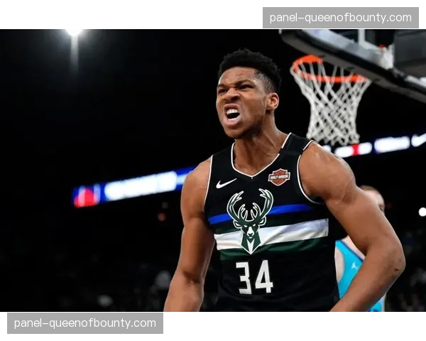 前NBA球员因涉赌被联盟永久除名，发表道歉声明